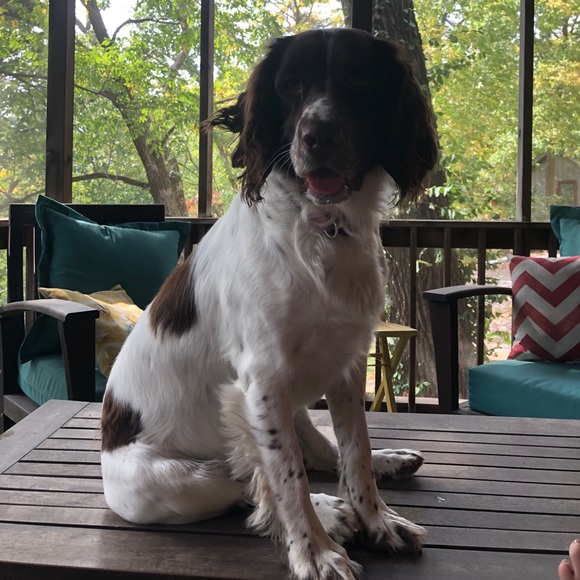 Meet your Posher, Sally - Picture 5 of 5